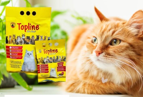 topline-cat-food-1-2-KG