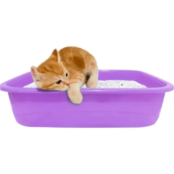 Kitten-Litter-Tray-with-Free-Scoop